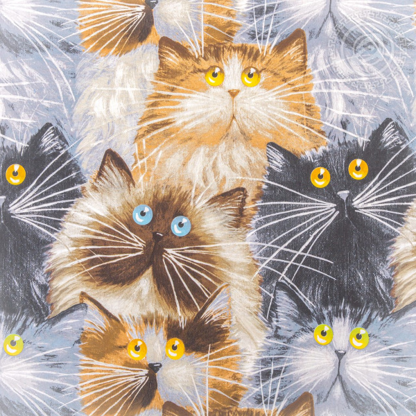 Бязь 4036670Б-220