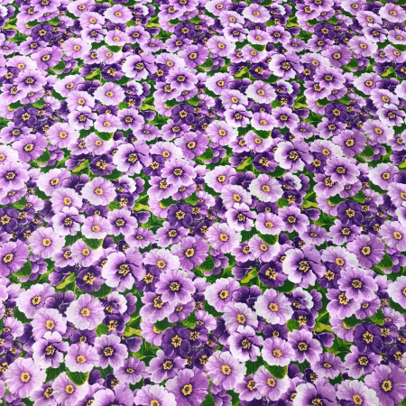 Перкаль 8166П-150