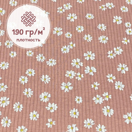 Кашкорсе 100% х/б Пенье 1-1012/3004824К