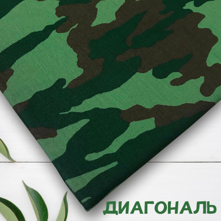 Диагональ 342Д