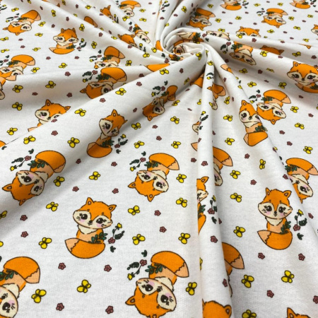 Футер 2-х нитка с начесом рулон 1-41/3006754РОЕ