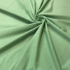 Футер с лайкрой Бледно-зеленый 1-161/3006632ЛГ 