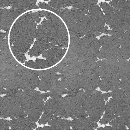 Футер 3-х нитка петельный рваный (на сетке) Фуме 1-172/3006758БН